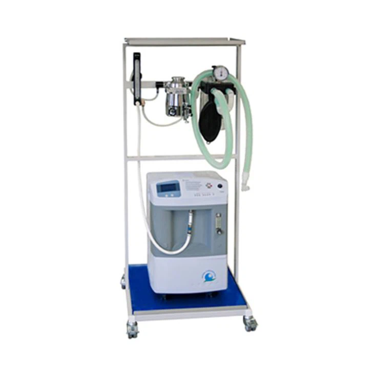 5L Longfian Oxygen Concentrator JAY-5 Use For Veterinary